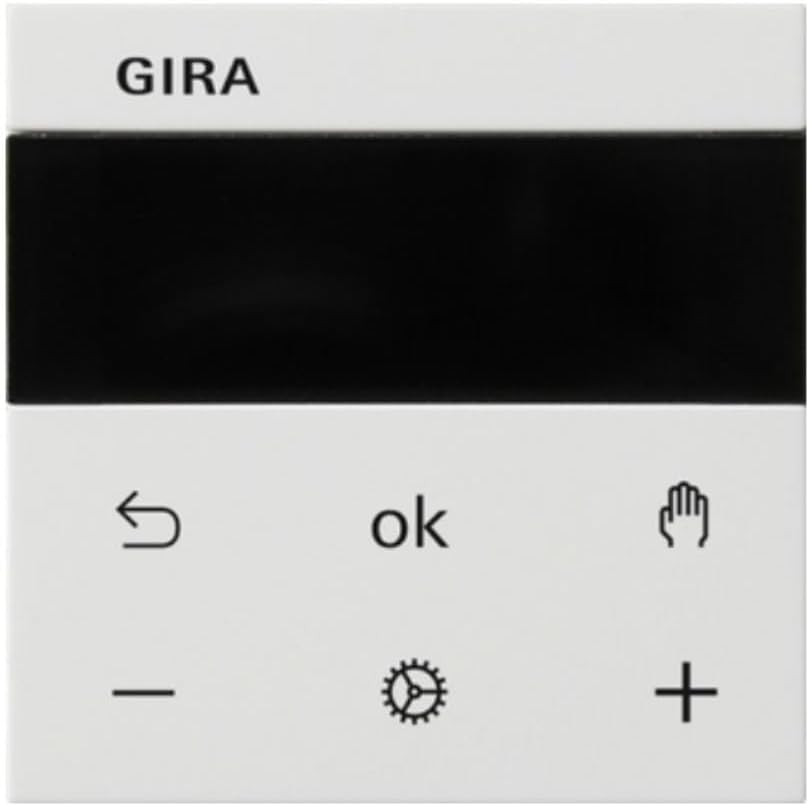 GIRA S3000 RTR Display System 55 front view with display and control buttons