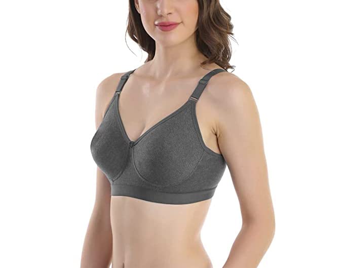 Image of SKDREAMS Blue & Brown & Purple-32D Cotton Blend Seamless Non Padded Non-Wired Full Coverage Pack of 3 Women T-Shirt Bra Combo