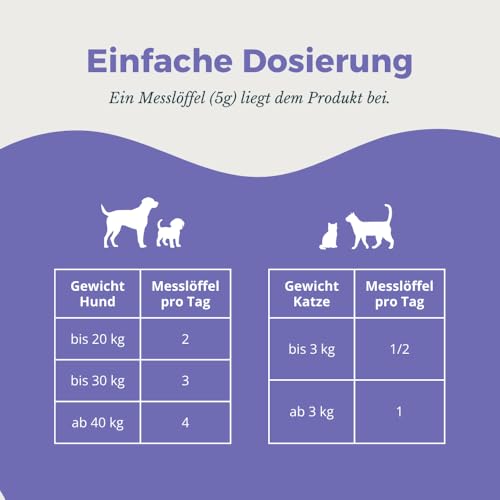 purapep Senior Power Pulver– 5-Fach Nährstoffkomplex mit Molkenprotein, Omega-3, Taurin & Vitaminen für Hunde & Katzen Senioren – Muskelaufbau & Fitness-Booster im Alter – 100 g