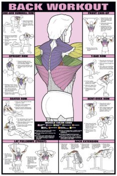 ALGRA Back Workout Poster 24" x 36" Laminated Poster