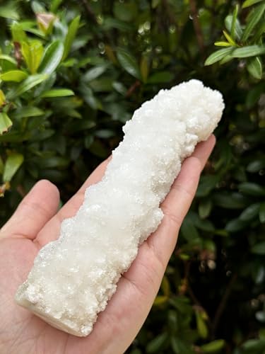 Image of GAF TREASURES Chalcedony & Crystal Quartz Stalactite 3-8 inch, Natural Quartz on Chalcedony Stalactite Specimen (0.5-0.75 lb)
