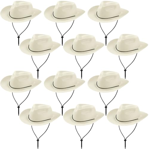 Hicarer 12 Pieces Disposable Plastic Cowboy Hat Set for Party Felt Wide Brimmed Western Cowgirl Hat for Men Women