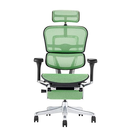 Ergohuman2 (�G���S�q���[�}��2) �V��� �v�� �I�b�g�}������ �i�C�����L���X�^�[ �O���[�����b�V��/�u���b�N�t���[�� EHP2-LPL-DR-BF-GN 445430