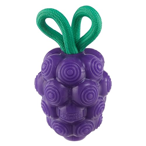 Outward Hound Dental Grapes Dog Toy