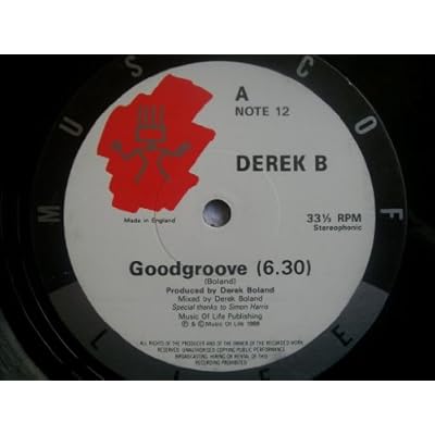 DEREK B Goodgroove 12"