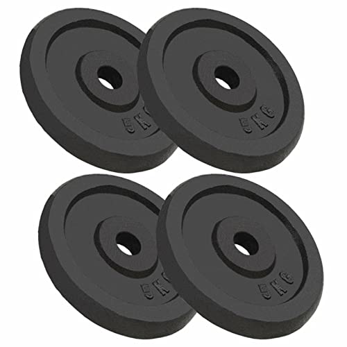Tidyard Gewichtsschijven, gewichtsplaten, 4 x 5 kg, van gietijzer, halterschijven 20 kg, reservegewicht voor fitnessstudio, gewichtsschijven, gewichtsschijven 20 kg, halterschijven 20 kg