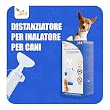 Ved B0CP9HLD34 lato 2