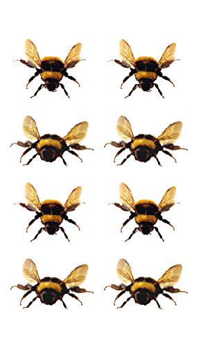 Sanerlian Bee Insect Temporary Tattoo Sticker Ladybug Cartoon Fake Cartoon Boys Girls Kids Hand Arm Party Favor Waterproof 10.5X6Cm Set Of 12 (Bee2) #TOP6