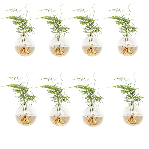 Macetas, Kitchen Imagen adicional