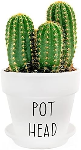 Esterno Pothead Planter Pot (2-Piece Set), Mini Decorative Planter with Saucer for Indoor Gardening