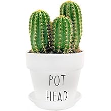 Esterno Pothead Planter Pot 2-Piece Set, Mini Decorative Planter with Saucer for Indoor Gardening