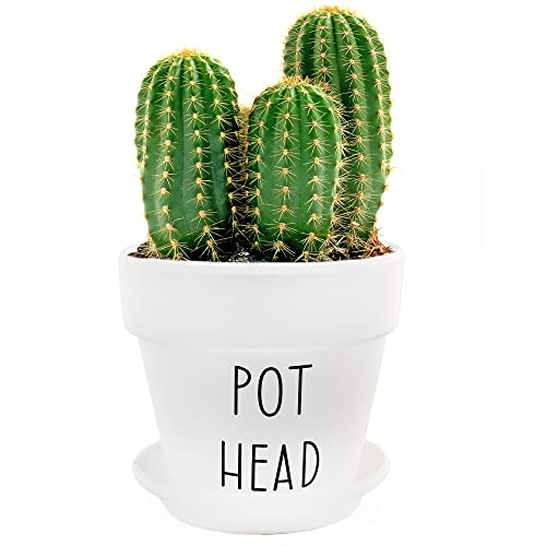 Esterno Pothead Planter Pot (2-Piece Set), Mini Decorative Planter With Saucer For Indoor Gardening #TOP3