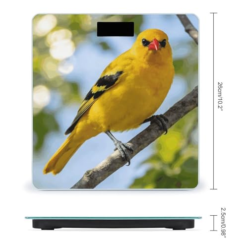Báscula digital de baño Oriole de vidrio templado miniatura 2
