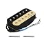 Zebra Neck Pickup