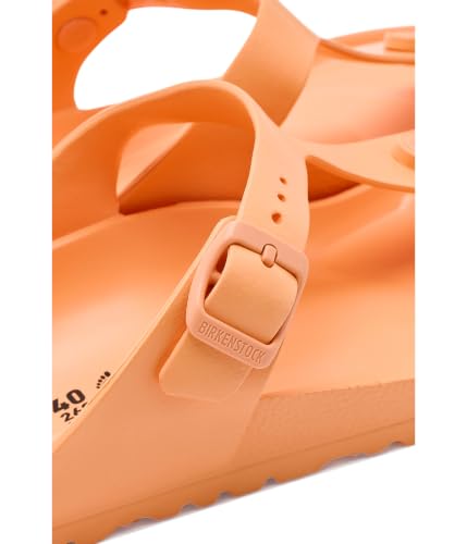 Image of Teva Women's W Original Universal Sport Sandal