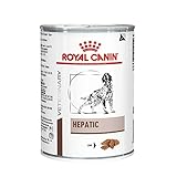 Ração Royal Canin Lata Canine Veterinary Diet Hepatic Wet para Cães com Doenças Hepaticas 420 g Royal Canin - Sabor Outro