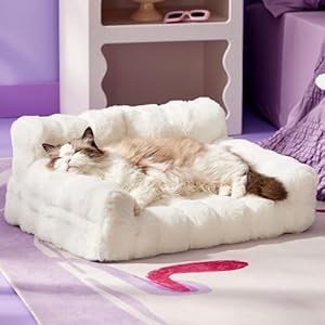 Lesure Orthopedic Cat Couch Bed, Cute Waterproof Cat Sofa with Supportive Egg Foam for Small Medium Dogs & Kittens, Washable Cat Chair with Fluffy Faux Fur Bubble Cover, Non-Slip Bottom, White