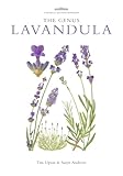lavandula latifolia  The Genus Lavandula