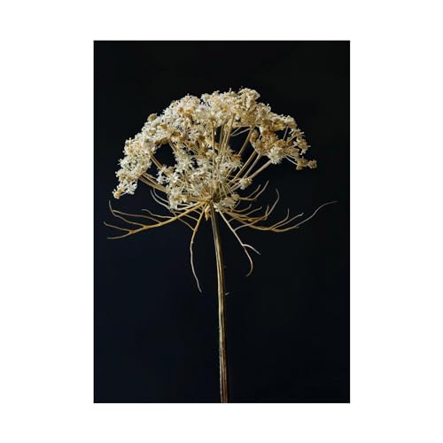 Tableau plante décoration murale moderne WODJEM 60x80cm