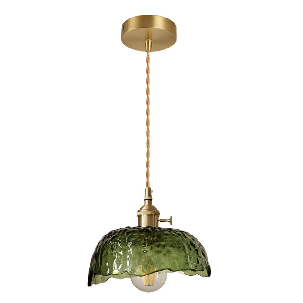 HXYSXHJUO Glass Globe Pendant Light Chandelier With Shade Adjustable Hanging Height Fixture For Kitchen Island Living Room Bedroom Dining