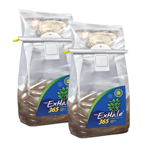 ExHale Homegrown CO2 365 - Self-Activated Bags for Grow Rooms & Tents - Great for Indoor Grow Rooms - CO2 for Grow Tents - 4lbs. (2 Pack)