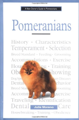 A New Owner's Guide to Pomeranians
