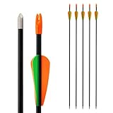 🏹 【 Pfeil und Bogen - Ersatzpfeile】 Ideal für Kinder und Jugendliche, zwischen 6 und 15 Jahren, die das Bogenschießen lernen wollen und / oder schon einen Bogenkönig Jugendbogen haben.