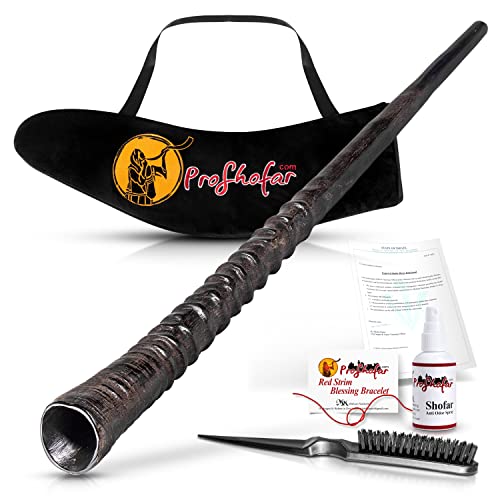 Exotic Shofar Gemsbok Oryx Horn – Half Polished - Medium - Size: 20