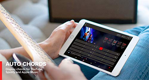 Positive Grid Positive Grid Spark