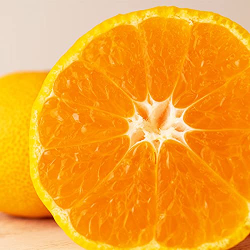 yFaY z Q Fa ݂ ʁE󂠂 10kg 3S`STCYyoדCEwszQłN݂̂ Q