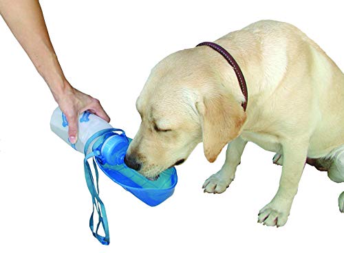 Lixit Hand Held Foldable Travel Hiking Outdoor Watering Bottle Bowl For Dogs (Pack Of 1, Granite) #TOP4