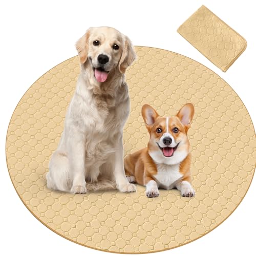 Para Sora 􂦂 ybgV[c ی^ L p(a120cm 1) ~ h ybg}bg p`ybgT[NɍœK z L V[c ld\ Rh~  JԂgp\(x[W)