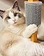 QWORK® 4 Stück Katzenbürste Wand Ecke Grooming Brush mit Montageschrauben und Adhesives (Grau)