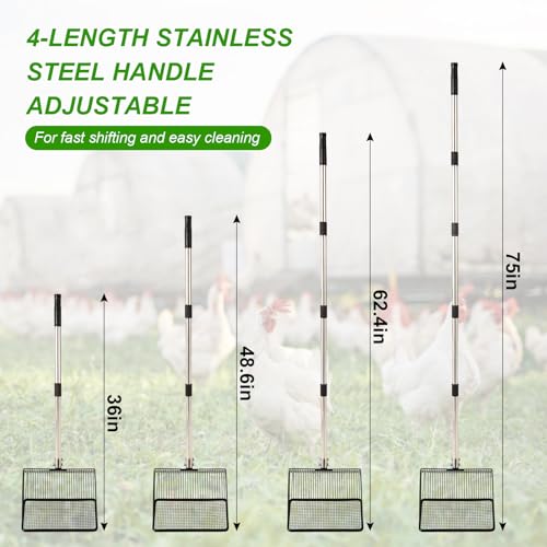 Image of 10inch Large Metal Chicken Poop Scooper, 36 inch to 75 inch Long Chicken Coop Litter Scoop with Stainless Steel Adjustable Handle, 4 in 1 Detachable Litter Sifting Shovel Scoop for Chicken Coop Accessories