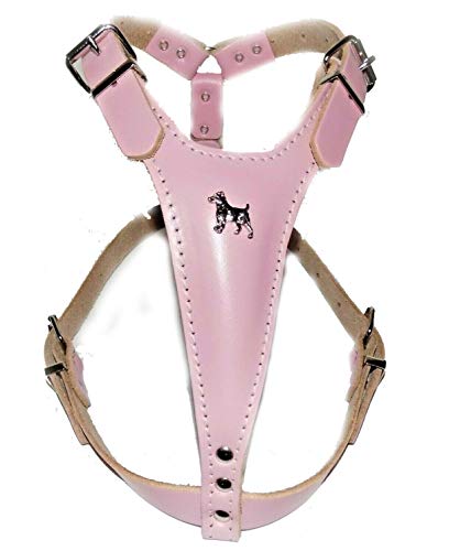 M&D - Pettorina per cani in pelle con testa di Jack Russell