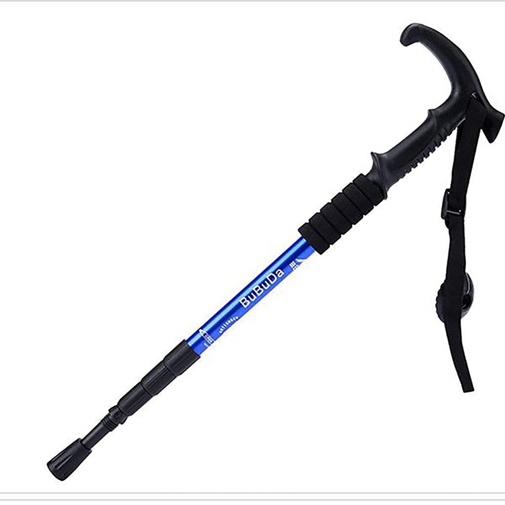 Laski Trekkingowe Kije Składane Outdoor Przenośne Kurczące się Kije Górskie Kije Narciarskie Kule Chodzące Outdoor Wspinaczka Górska Cztery Sekcje Uchwyt T Modne Chaser of Light