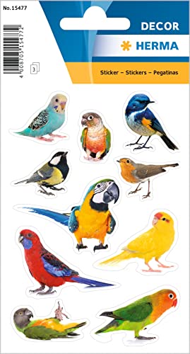 HERMA 15477 Pegatinas para niños, pájaros (30 pegatinas, papel, mate), autoadhesivas, etiquetas adhesivas permanentes, para niñas y niños, multicolor
