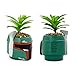 Star Wars Boba Fett Helmet 3-Inch Ceramic Planter with Artificial Succulent | Small Flower Pot, Faux Indoor Plant for Desk Shelf, Trinket Tray | Cute Home Decor Gifts and Collectibles
