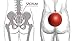Pelvic Clock® Exercise Device for Chronic Hip & Lower Back Pain Relief