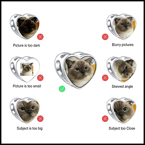 NINGAN Personalized Photo Charms 925 Sterling Silver for Bracelets Necklaces, Customized Engraved Heart Round Family Tree Dad Mom Love Bead Dangle for Women Wife4