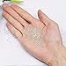 Tibaoffy Size 12/0 Crafts Glass Seed Beads 2mm Transparent Silver Beads for Jewelry Making (Total About 100g About 12000pcs)