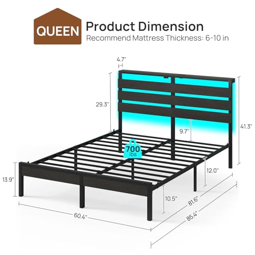 image for Rolanstar Bed Frame Queen Size with USB Charging Station, LED Bed Fram