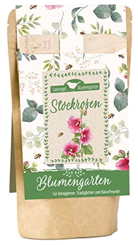 Stockrosen: Blumengarten