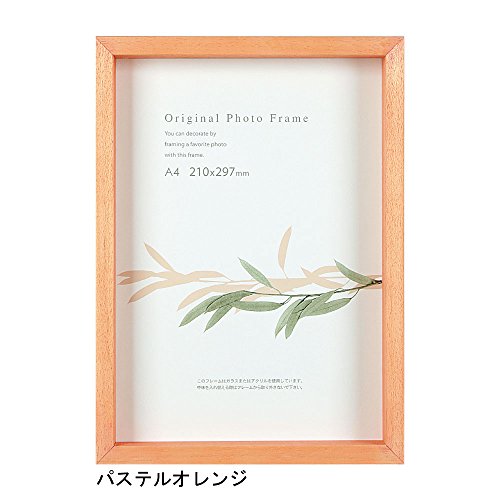 Amazon | A.P.J. アートボックスフレーム（高さ：35mm） B5サイズ