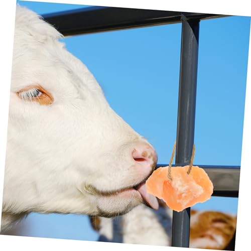 DOITOOL Lambedor De Sal De Gado Tijolo De Sal De Gado Bloco De Lamber Sal Fornecimento De Sal De Gad