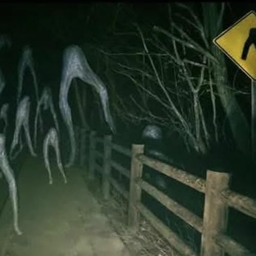 Middle Aged Mini #249 - Fresno Nightcrawler