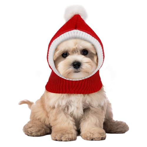 PEUTIER Santa Hat for Pets
