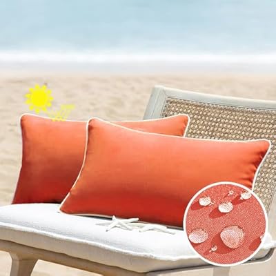 All Smiles Burnt Orange 12x20 Set of 2 Outdoor Waterproof Lumbar Pillowcase Throw Pillow Covers Decorative Outside Patio Furniture Cushion Cases Decor for Garden Bench Porch Couch Tent Sunbrella