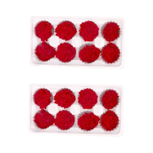 ABOOFAN 2pcs Flor Eterna Clavel Roja Secas