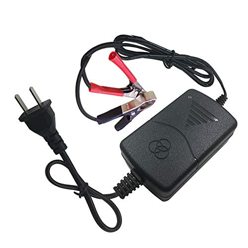 WElinks 12V/1A Universal Portable Multi-Mode Rechargeable Battery Charger Maintainer Smart Battery Charger Maintainer Trickle Battery Charger for Auto Car Motorcycle